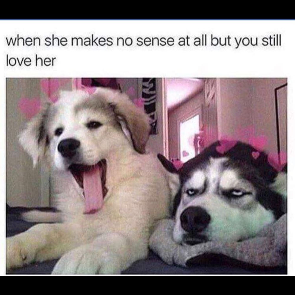 Meet your Posher, Malesha